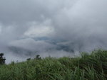 P6150033