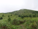 P6150035