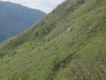 P6150048