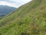 P6150049