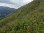 P6150050