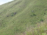 P6150051