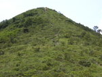 DSCN2131