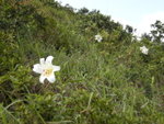 DSCN2133