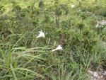 DSCN2135