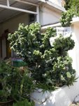 DSCN2176