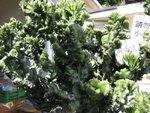 DSCN2177
