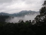 P6290061