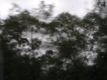 P6290062