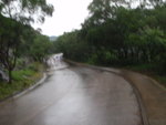 P6290078