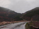 P6290094