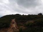 P6290109