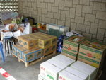 DSCN3206