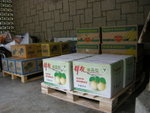 DSCN3207