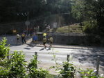 DSCN3684
