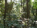 DSCN3697