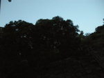 DSCN3760