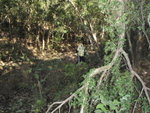 PC070021