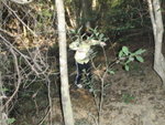 PC070022