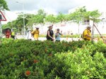 IMG_3105