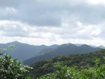 IMG_3131