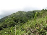 IMG_3134