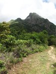 IMG_3136