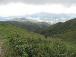 IMG_3146