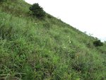 IMG_3148