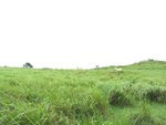 IMG_3155