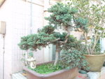 P1040043