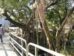 DSCN3980