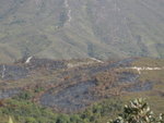 DSCN4008