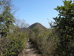 DSCN4019