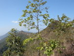 DSCN4026