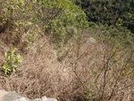 DSCN4029