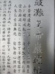 DSCN4229