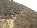 IMG_0765