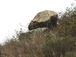 IMG_0766