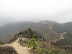 IMG_0769