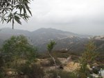 IMG_0777