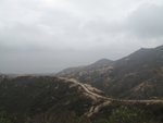 IMG_0779
