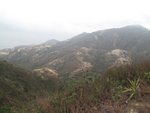 IMG_0781