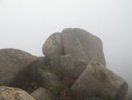 IMG_0799