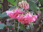 IMG_0944