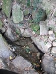 IMG_0965
