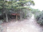 IMG_1707