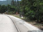 IMG_2286