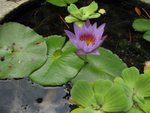 IMG_2275