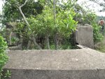 IMG_2445